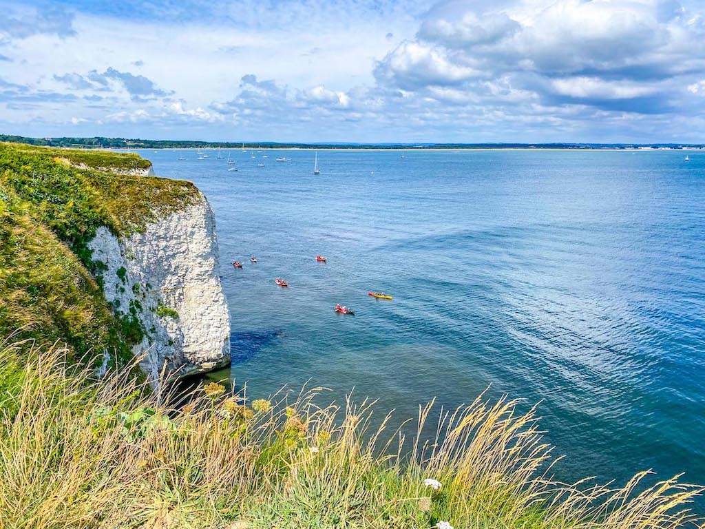 Old Harry Rocks Viewpoint