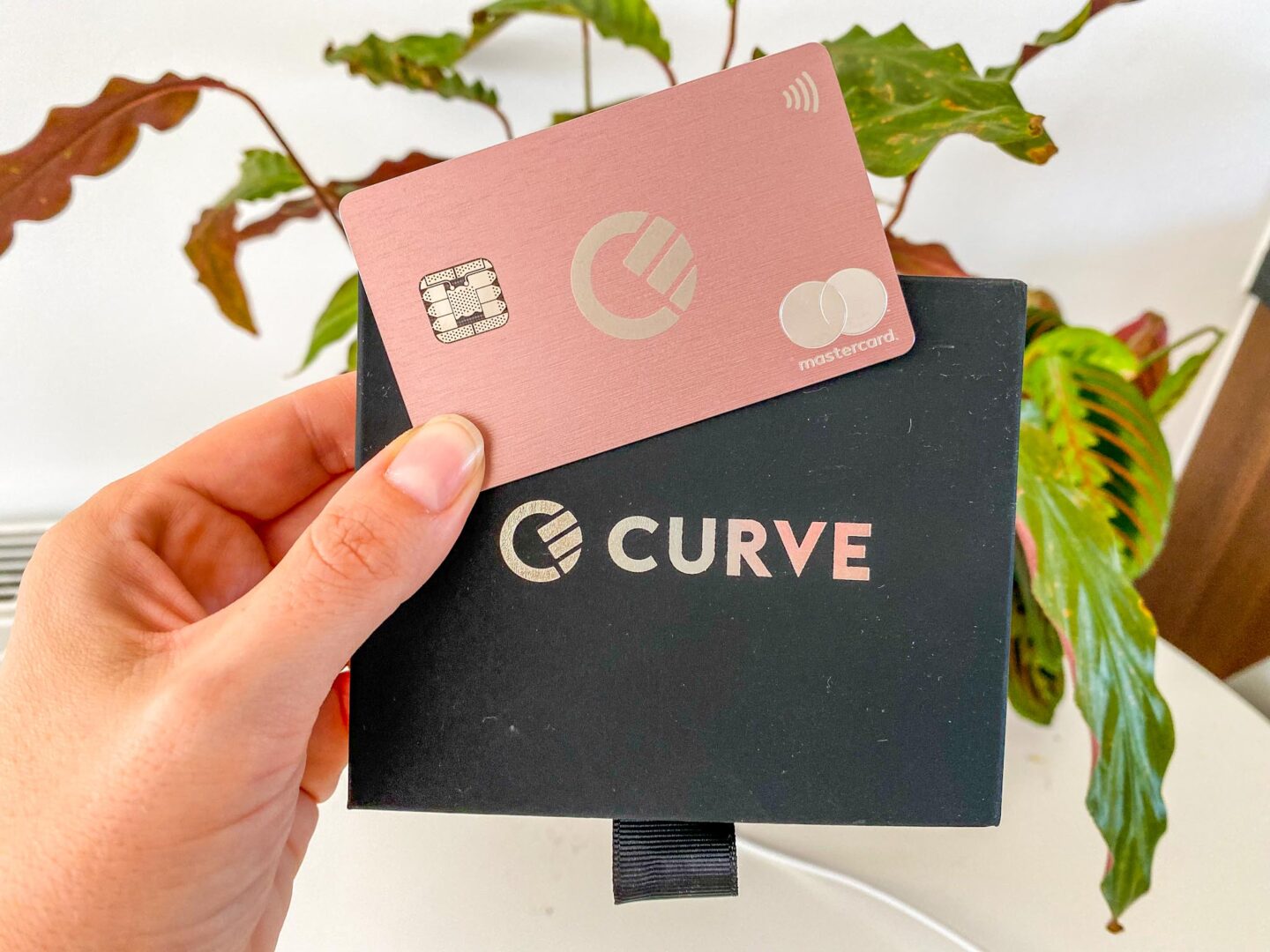 Curve Card for Travel