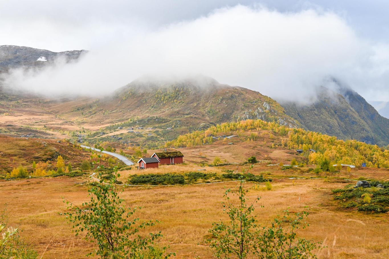 The Wandering Quinn Travel Blog Norway road trip, Jotunheimen National Park in Autumn