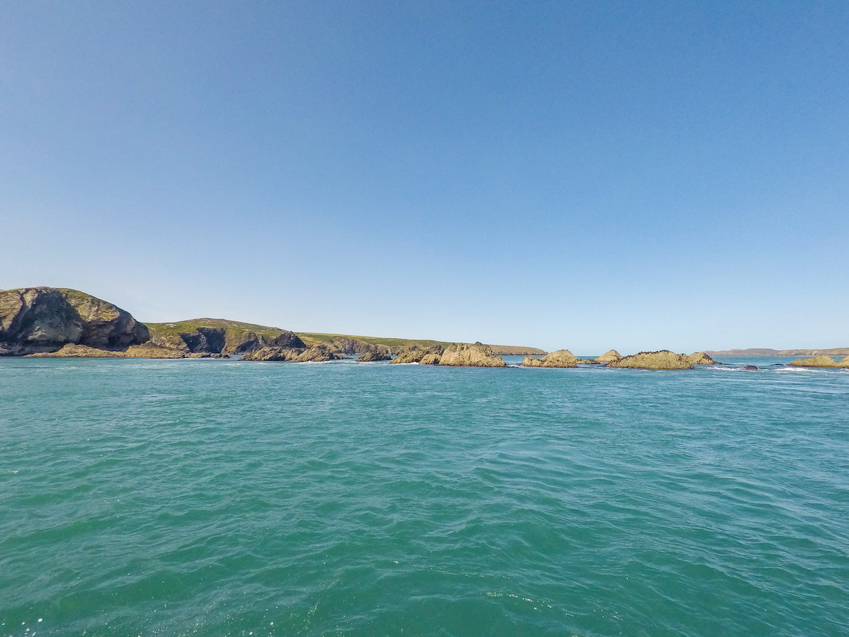 Places to visit in South Wales, Ramsey Island Boat Trip