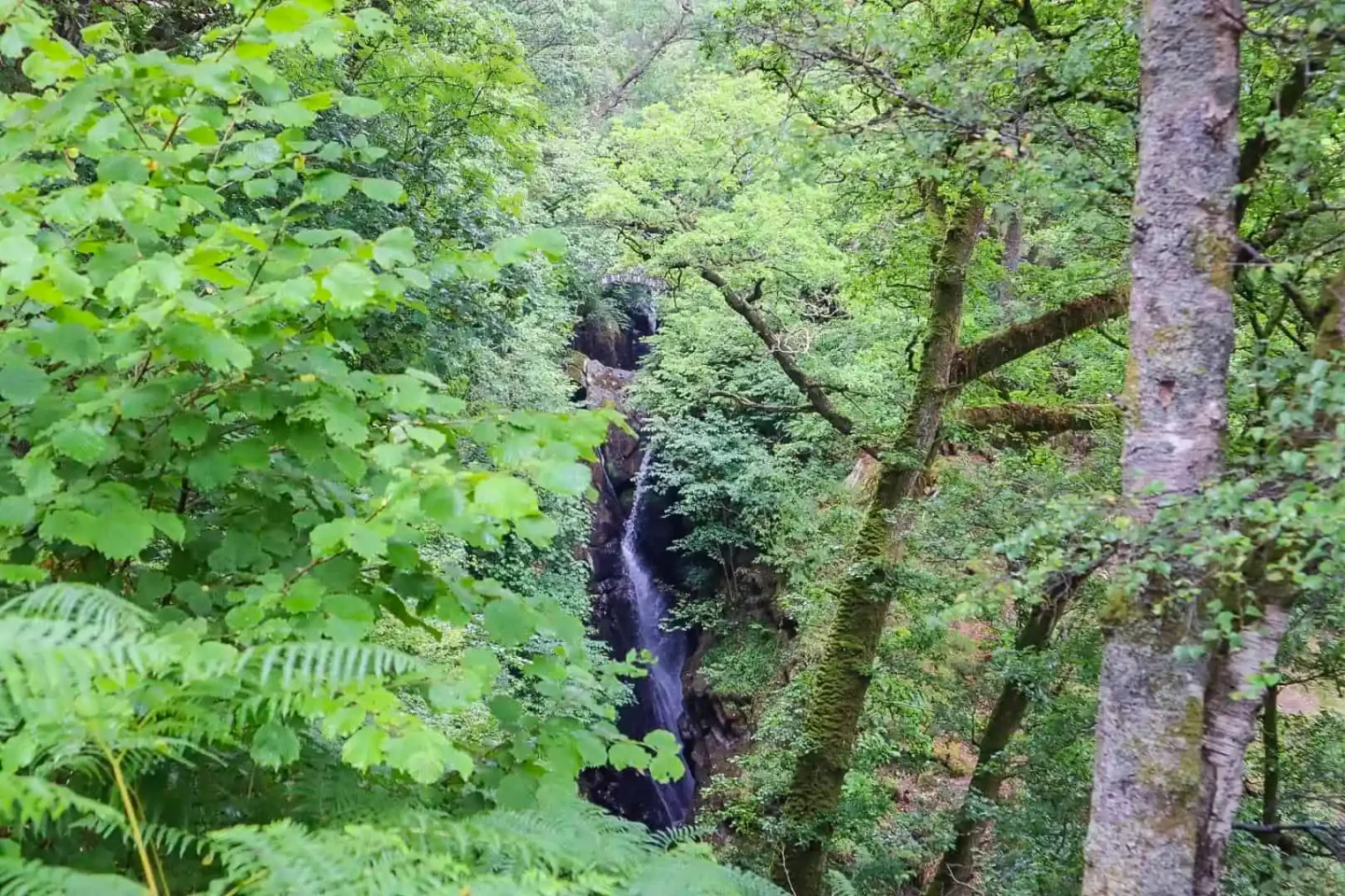 Easy Lake District walks, Aira Falls