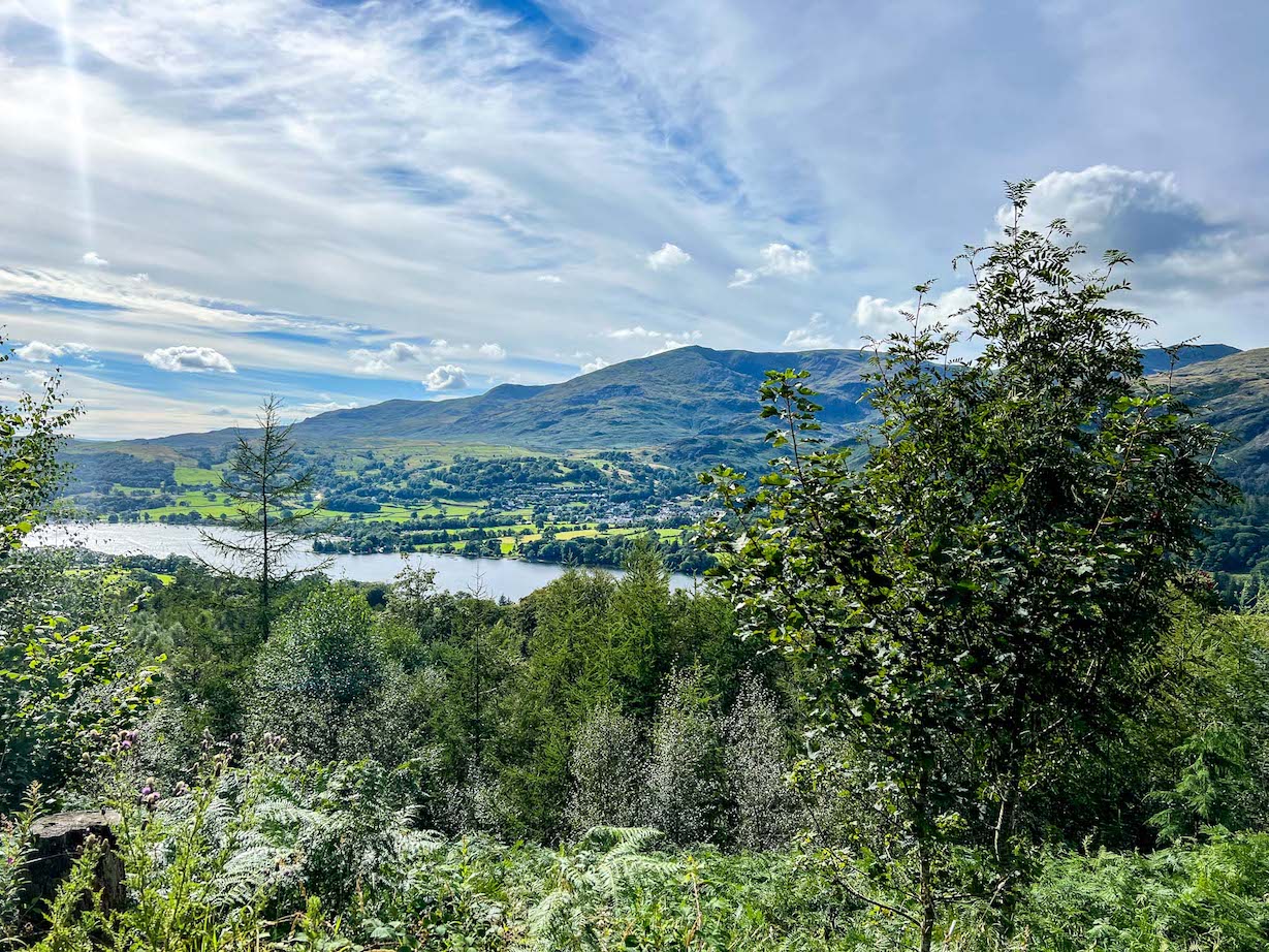 Grizedale Forest and Coniston Lake, Easy Lake District walks