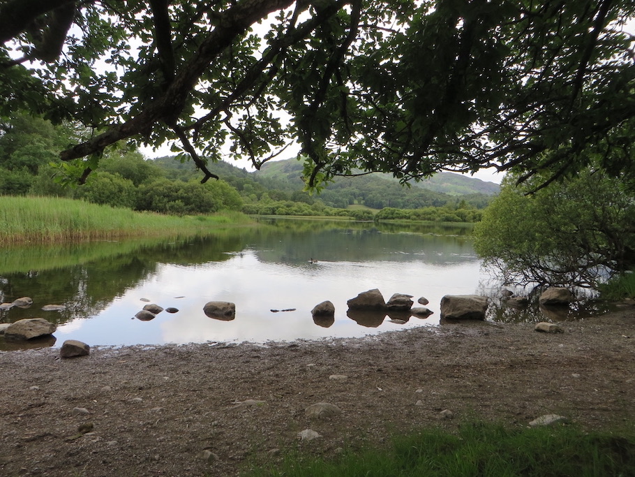 Easy Lake District walks, Elterwater