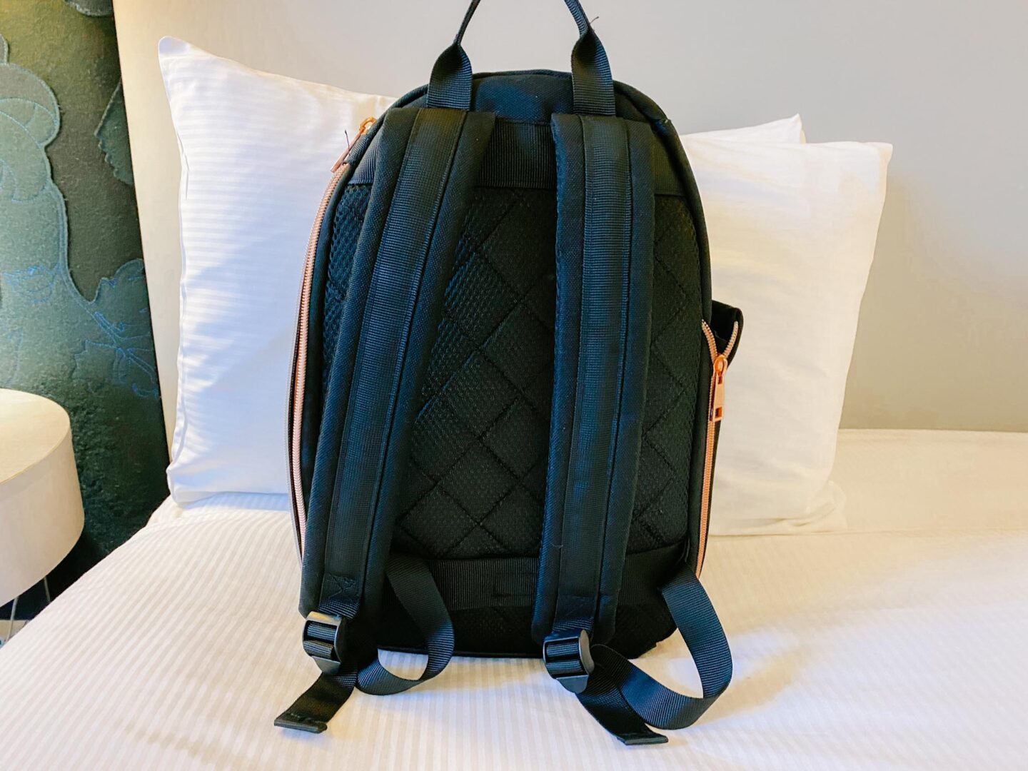 Travel Hack Backpack, Best Backpack for travelling women, Travel Hack Backpack padded straps