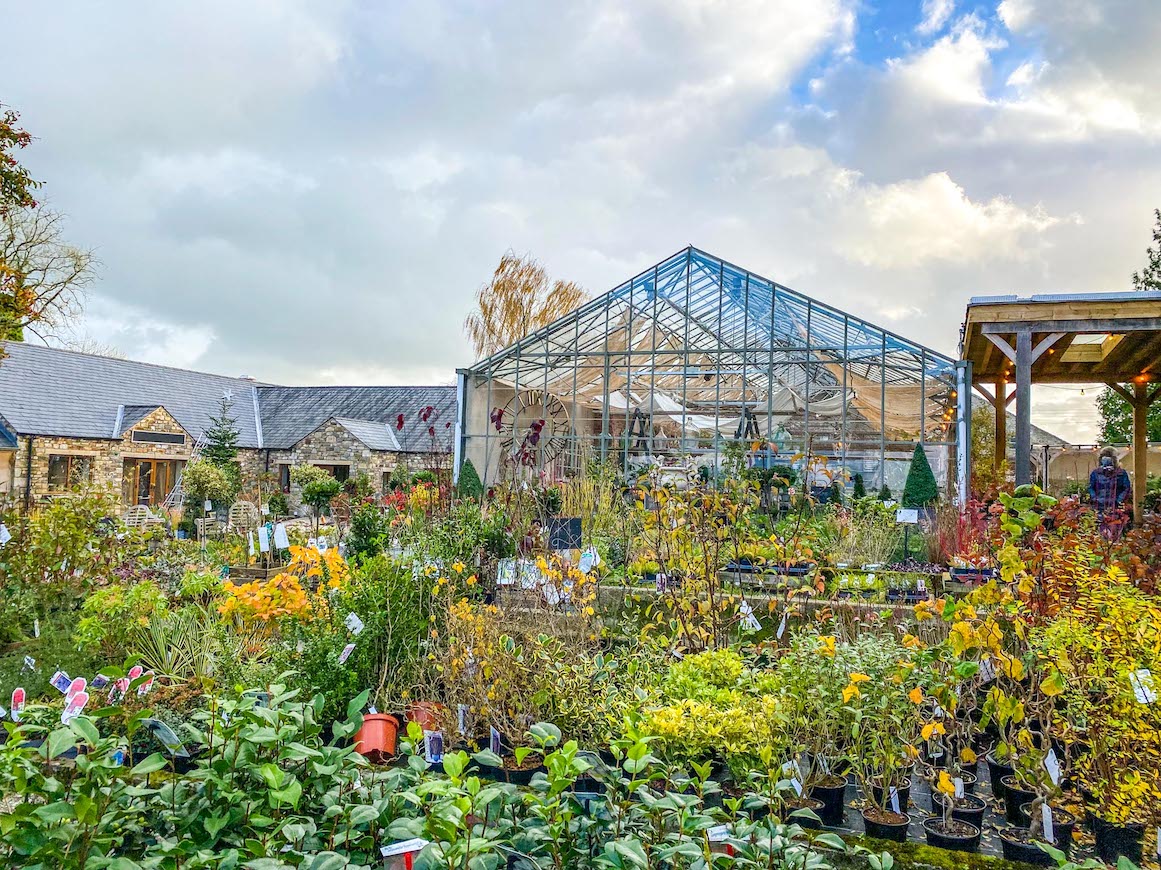 Things to do in Ribble Valley, Holden Clough Nursery Gardens