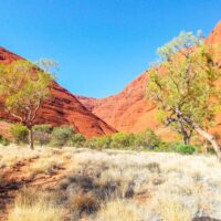 the red centre