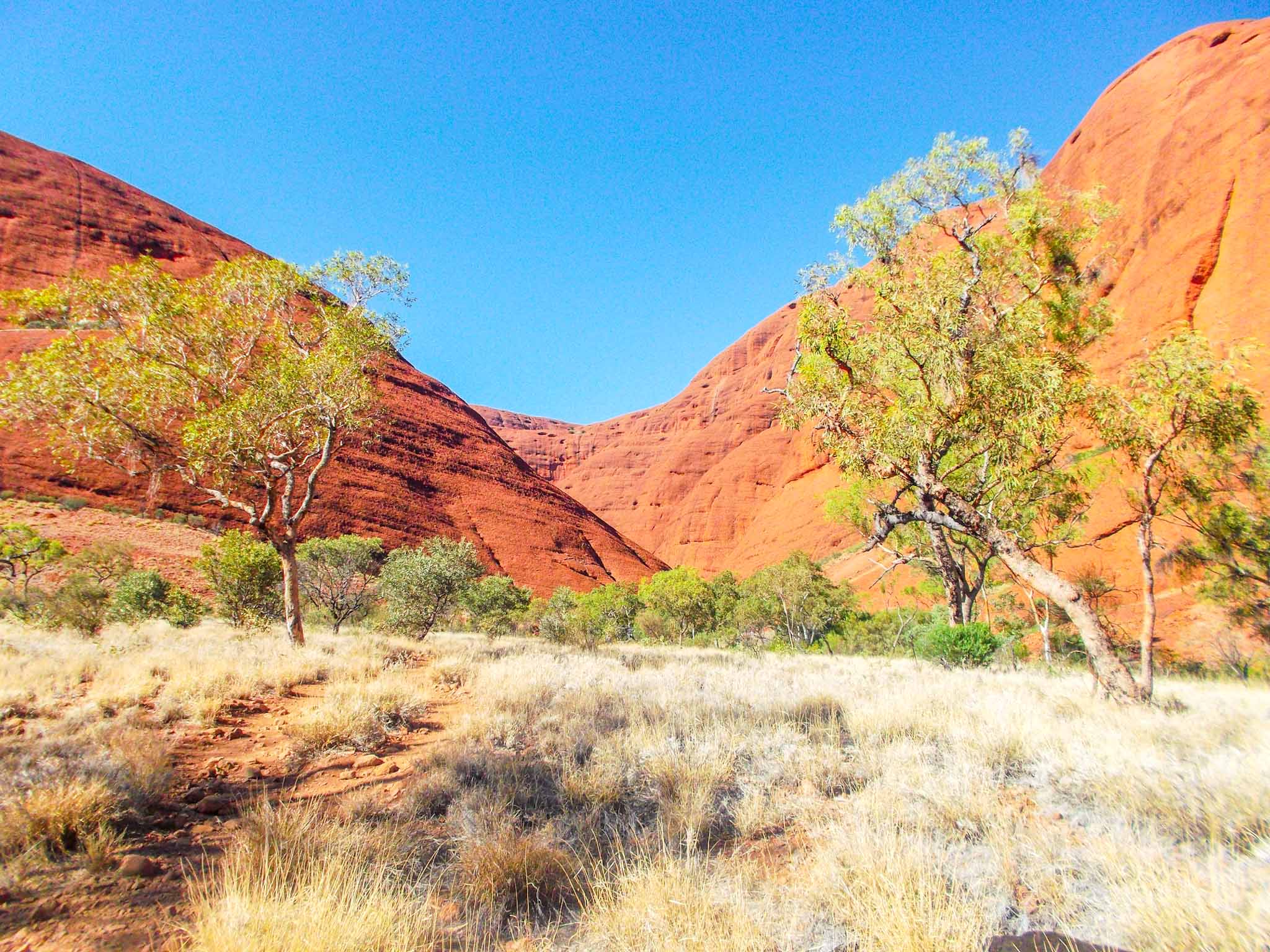 the red centre