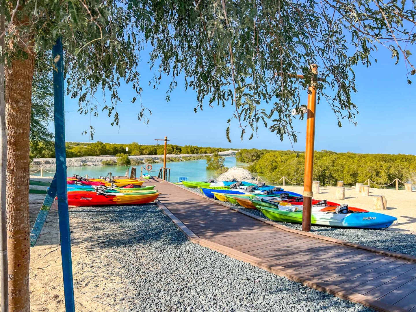 Things to do in Abu Dhabi, kayak shop at Jubail Mangrove Park