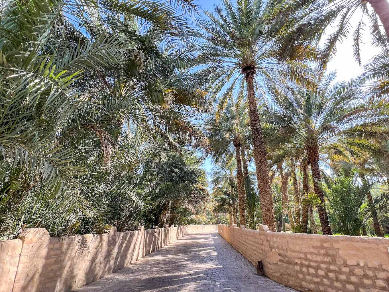 things to do in Al Ain, Al Ain Oasis Date Palms