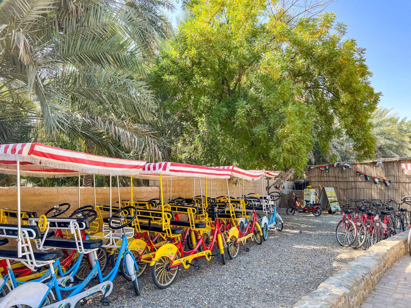 things to do in Al Ain, Al Ain Oasis Bike Hire