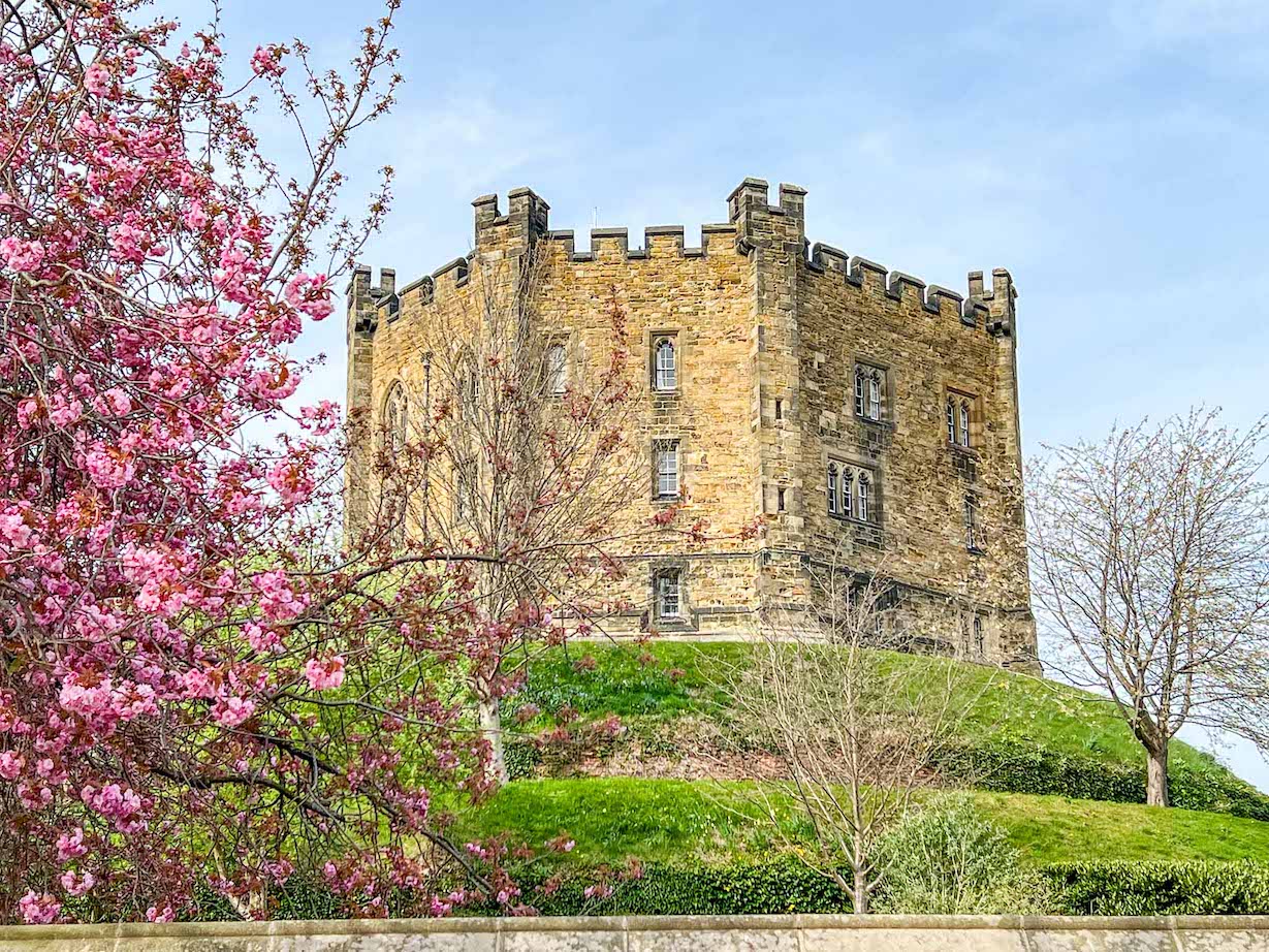 Things to do in Durham, Durham Castle and blossom