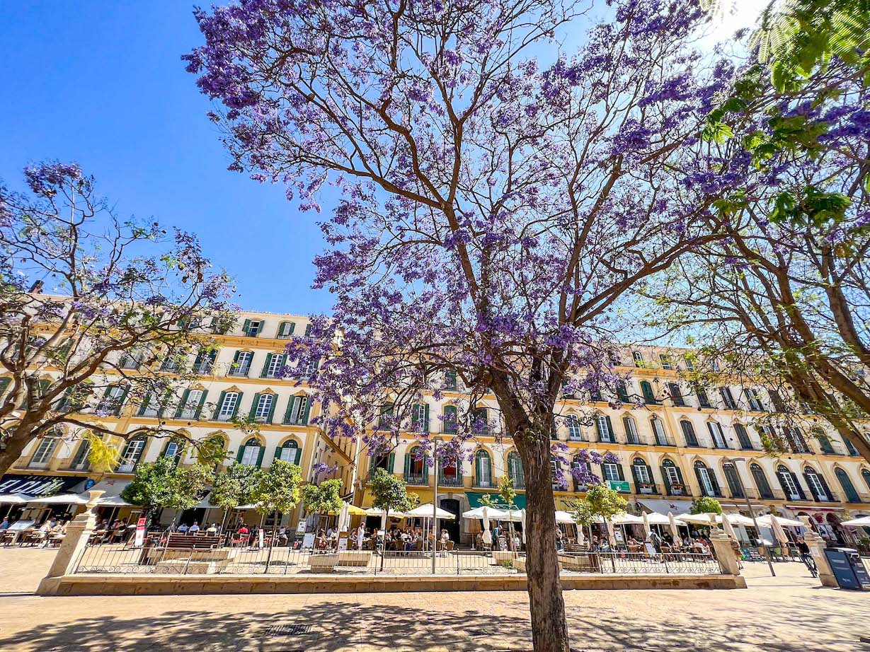 Southern Spain itinerary, Malaga Spring flowers