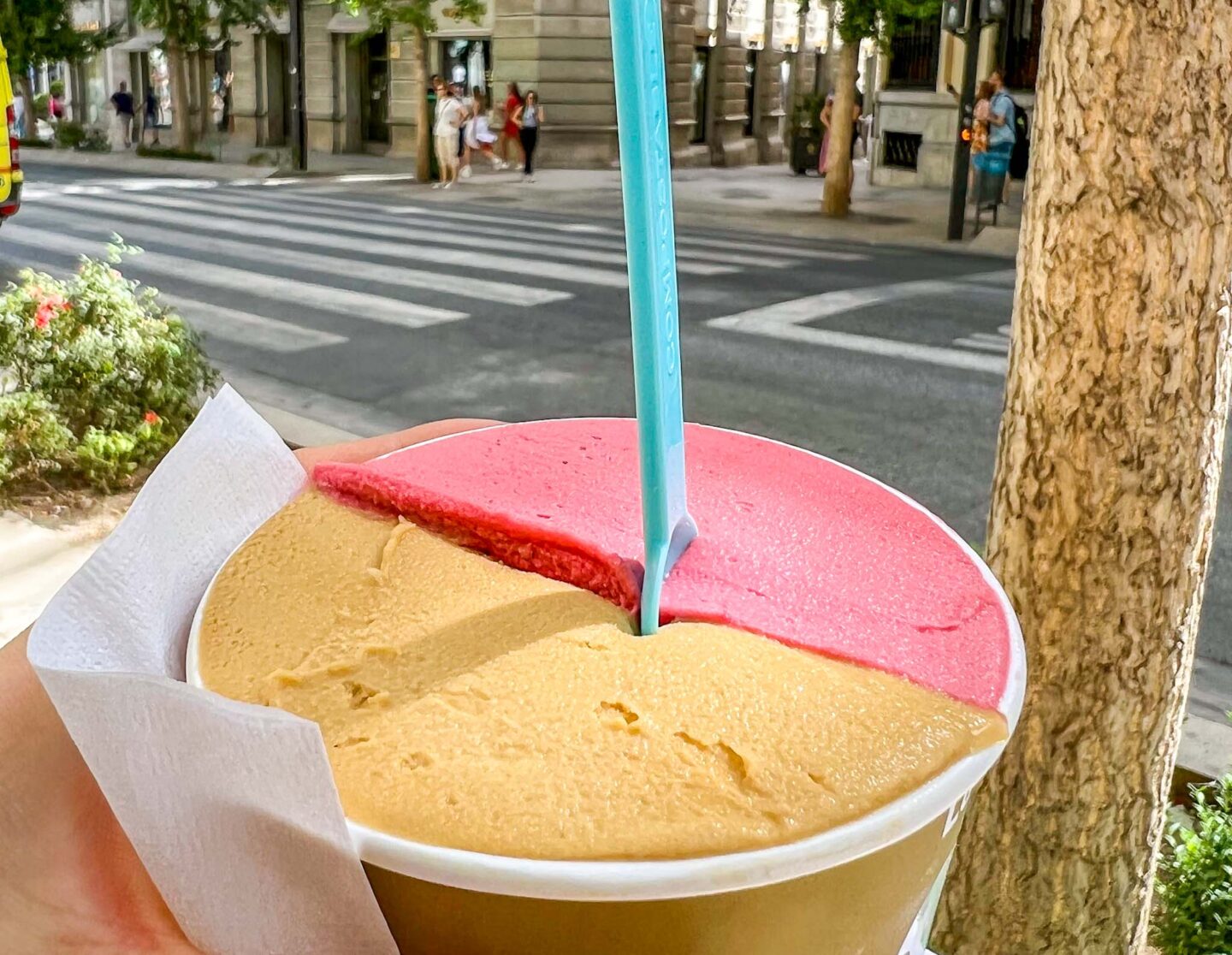 The Wandering Quinn Travel Blog Granada itinerary, One day in Granda, Raspberry and Creme Brûlée Ice Cream from Heladeria Los Italianos