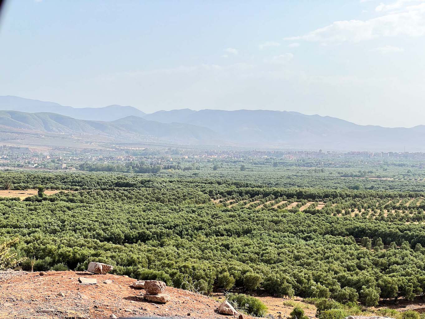 Marrakesh in August, green trees and Atlas Mountains