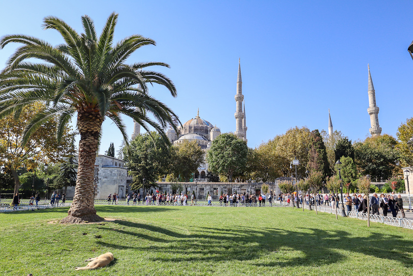 Blue Mosque and gardens from outside, things to do in Istanbul