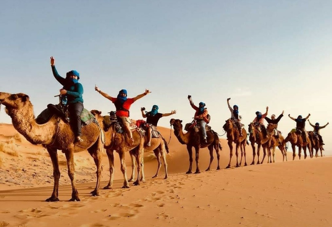 ladies on camels, Women's Group Tour to Morocco with Ellie Quinn
