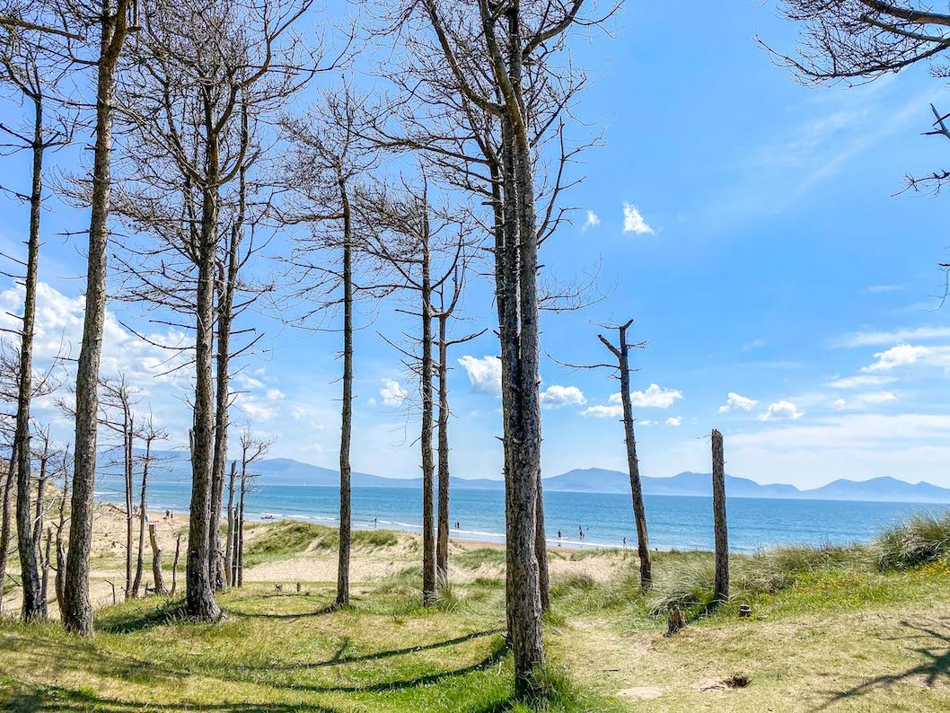 The Wandering Quinn Travel Blog places to visit in North Wales, Newborough Beach Forest and Sea