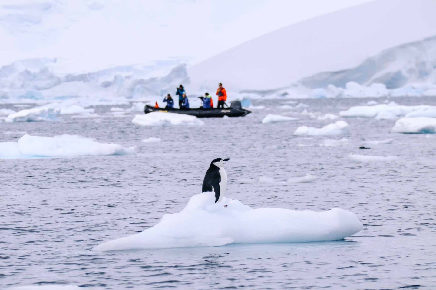 Antarctica in November, Best time to visit Antarctica, penguin stood on ice with boat behind