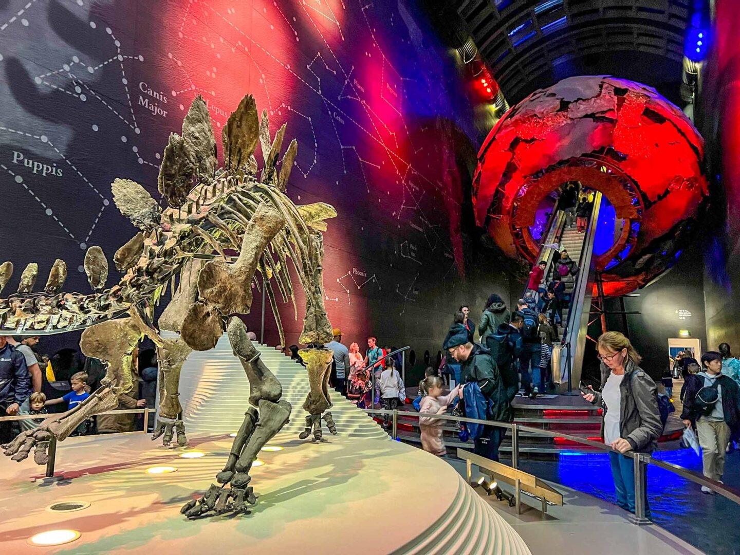 natural history museum dinosaur and escalator, London with kids, London with kids itinerary,