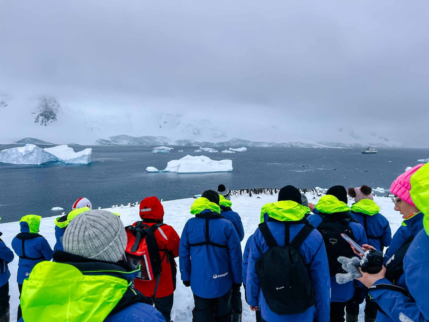 Antarctica in November, Best time to visit Antarctica, tour group near penguin colony