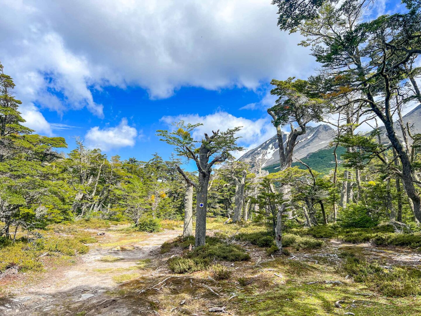 things to do in Ushuaia, Martial Glacier hike view