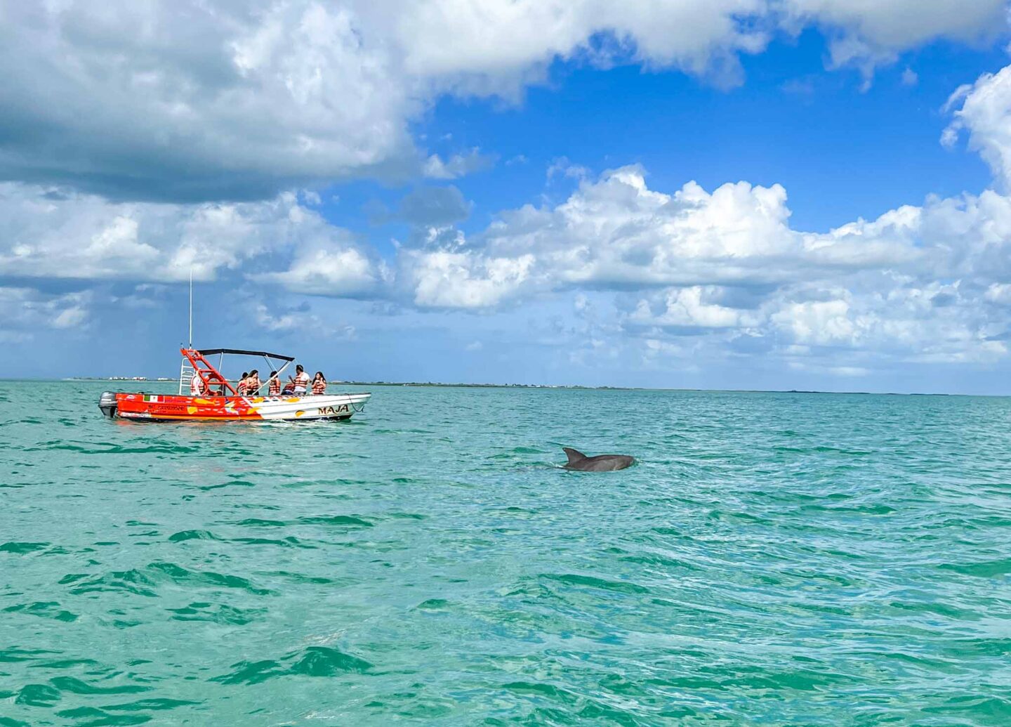 dolphin on Isla Holbox half day tour, Yucatan Road Trip, 1 week Mexico itinerary,