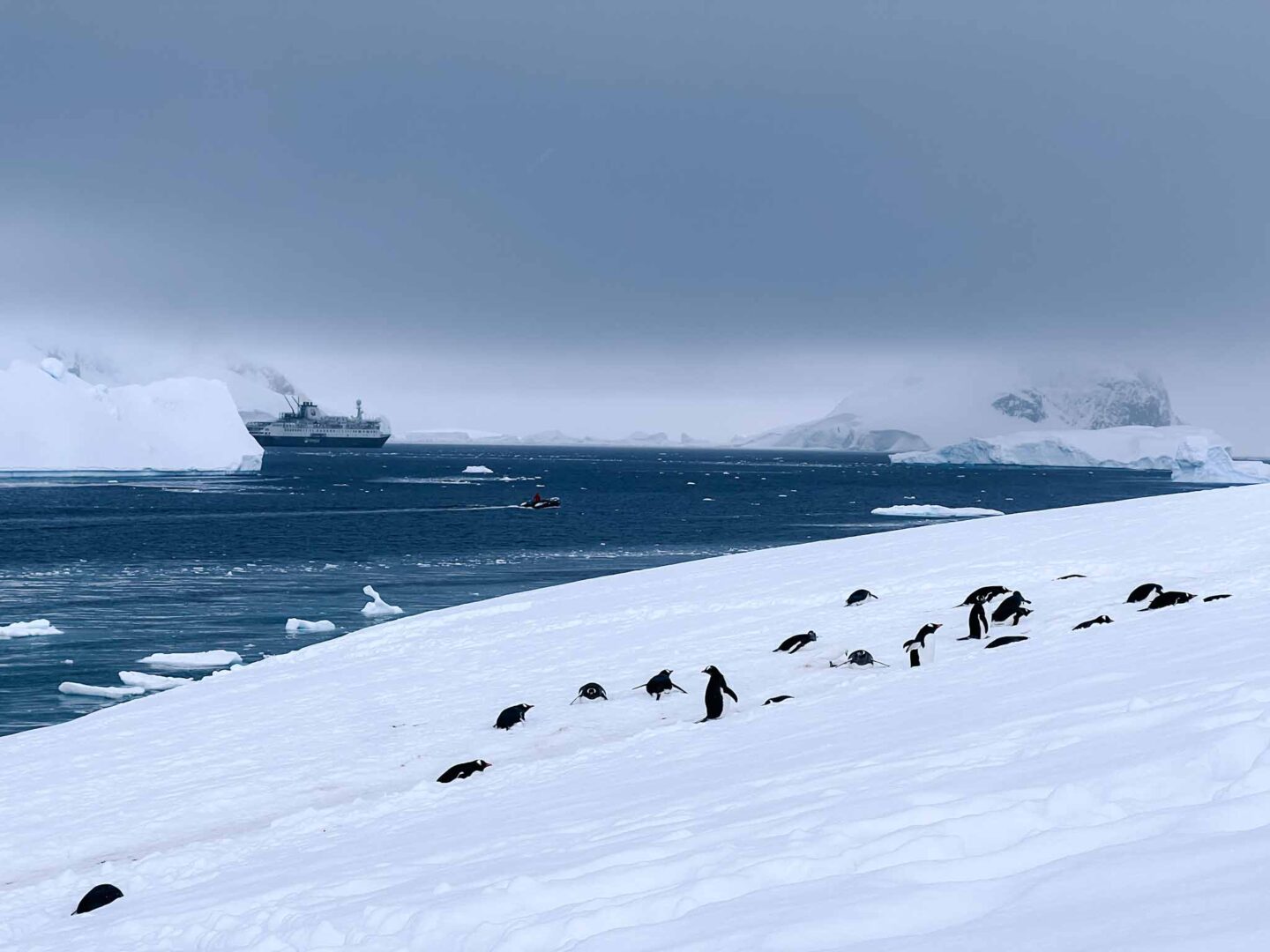 penguins on snow in Antarctica with ship in background, Can you visit Antarctica, Why do people visit Antarctica,
