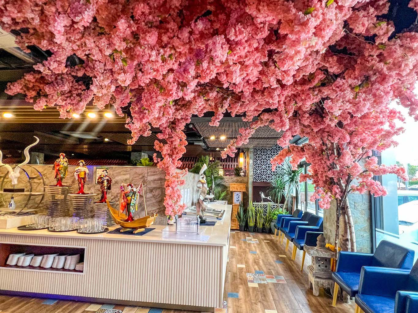 halal restaurants in manchester, Cherry blossom tree inside Sakura Japanese Restaurant Manchester