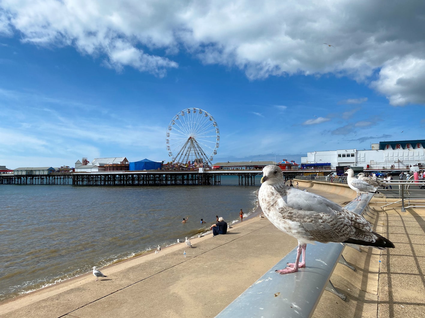 Blackpool Pier, day tours from Manchester, top places to visit in Manchester