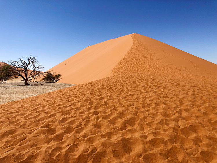 Dune 45 in Namibia, one of the sunny destinations in july and august, warm places to visit in july in south africa
