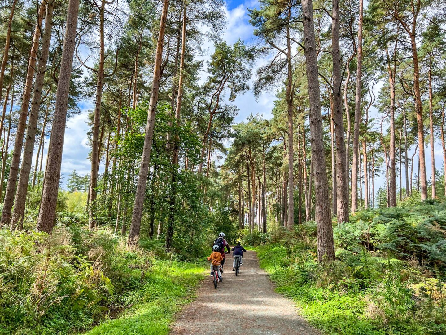 The Wandering Quinn Travel Blog Family Days Out Near Manchester, Family bike riding at Delamere Forest