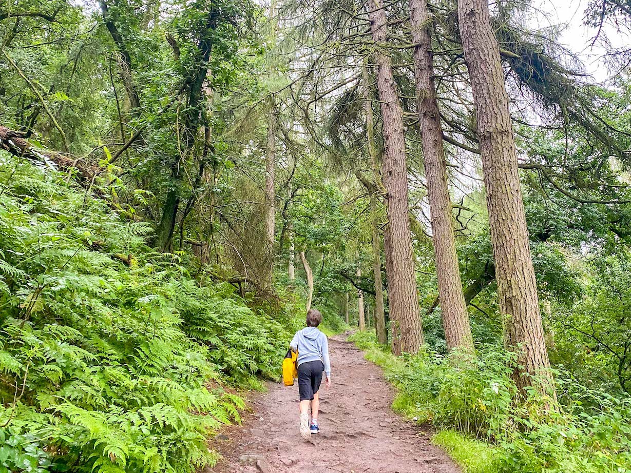 23+ Fun Family Days Out NEAR Manchester in 2023! - The Wandering Quinn ...