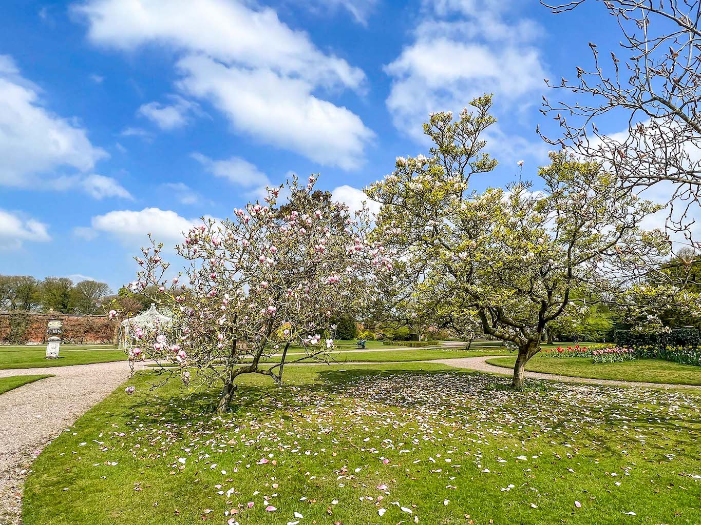 National Trust Manchester, Tatton Park Spring Blossom