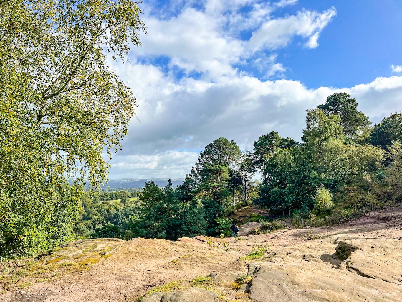 Things to do near Manchester Airport, Alderley Edge woodland