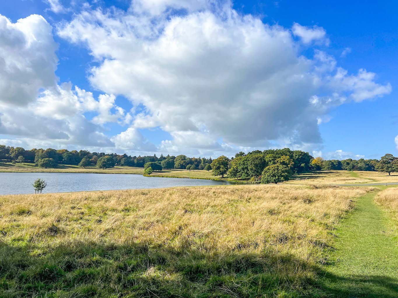 Things to do in Altrincham, Lake and field at Tatton Park near Altrincham