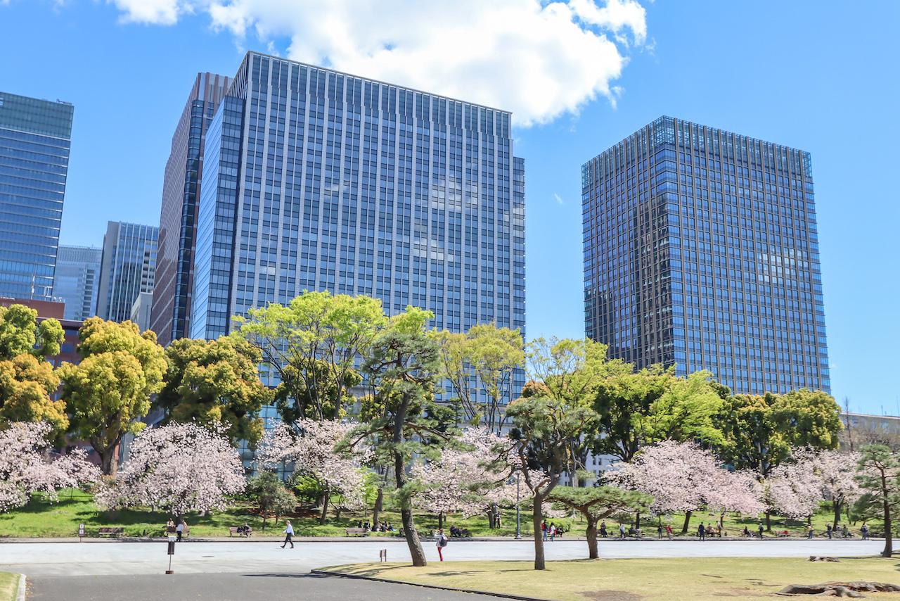 Tokyo 2 day itinerary, Ueno Park with cherry blossoms