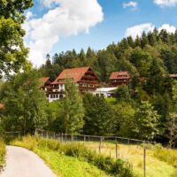 Things to do in Black Forest Germany,