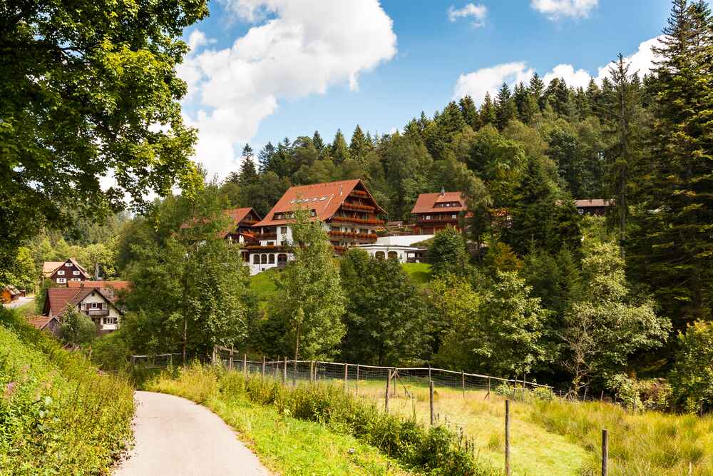 Things to do in Black Forest Germany,