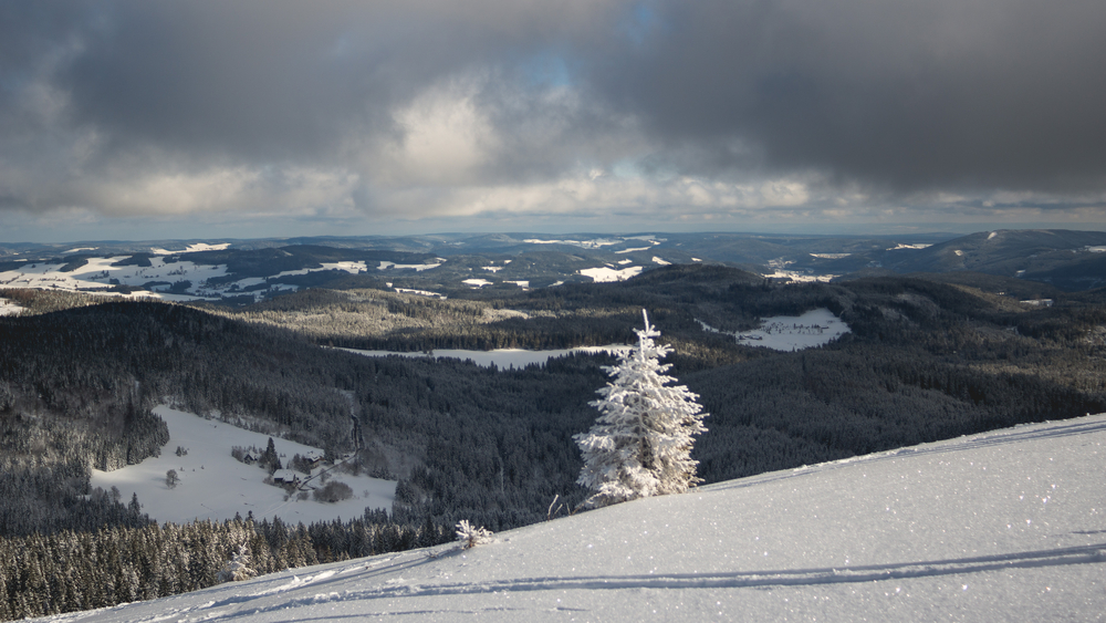 Snow in the Black Forest. View from mountain peak Feldberg, Things to do in Black Forest Germany, 
