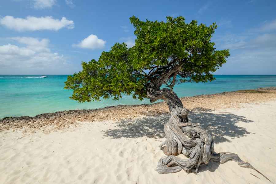 Best Places to Visit in the Caribbean in July & August, best months to visit Caribbean