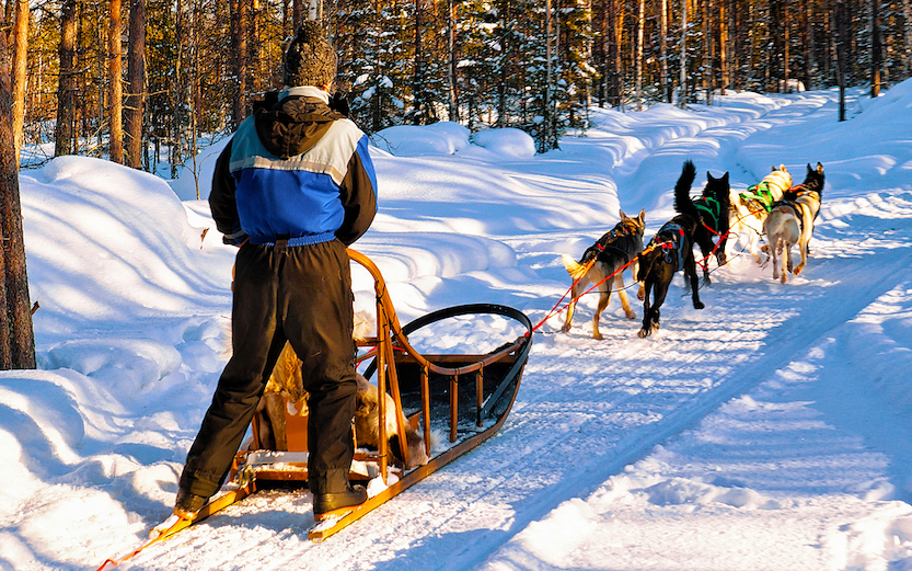 Things to do in Riga, man with husky dogs sledding 