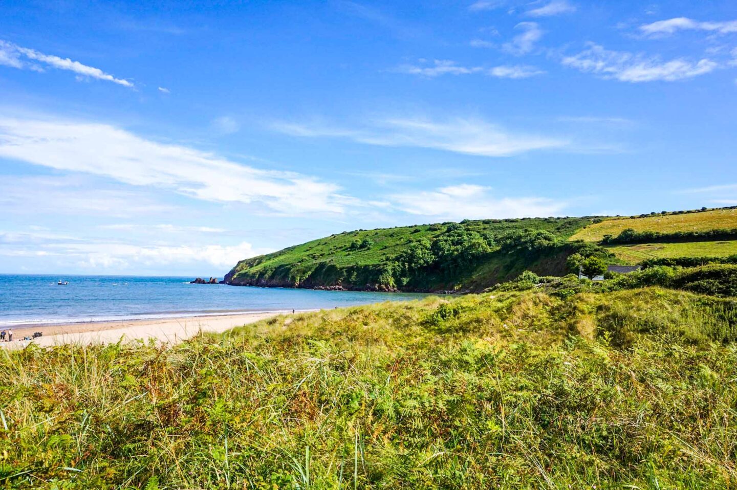 best beaches in South Wales, Freshwater East Beach with sand and grass banks