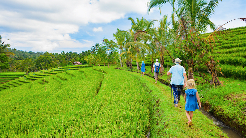 Packing List Bali, family walking through rice terraces in Bali