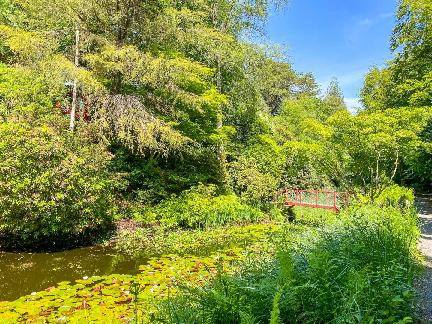 Visiting Portmeirion, gardens in Portmeirion with Japanese bridge