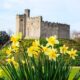Things to do in Wales in Spring,