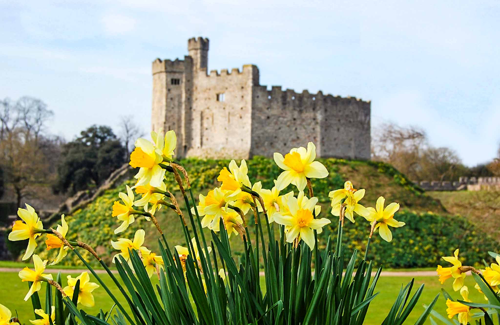 Things to do in Wales in Spring,