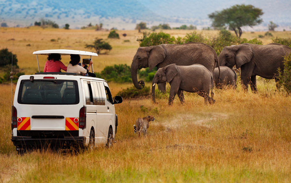 Best countries to visit in August, safari in Kenya Massi Mari seeing Elephants