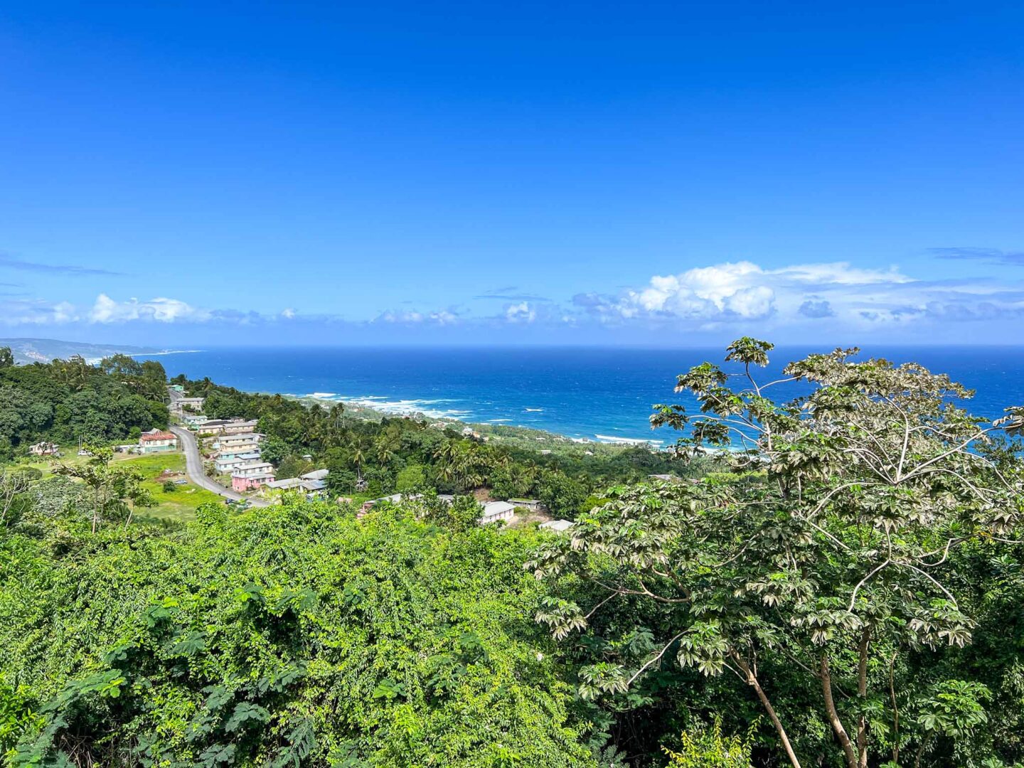 The Wandering Quinn Travel Blog how to see islands on a Caribbean cruise, Barbados viewpoint