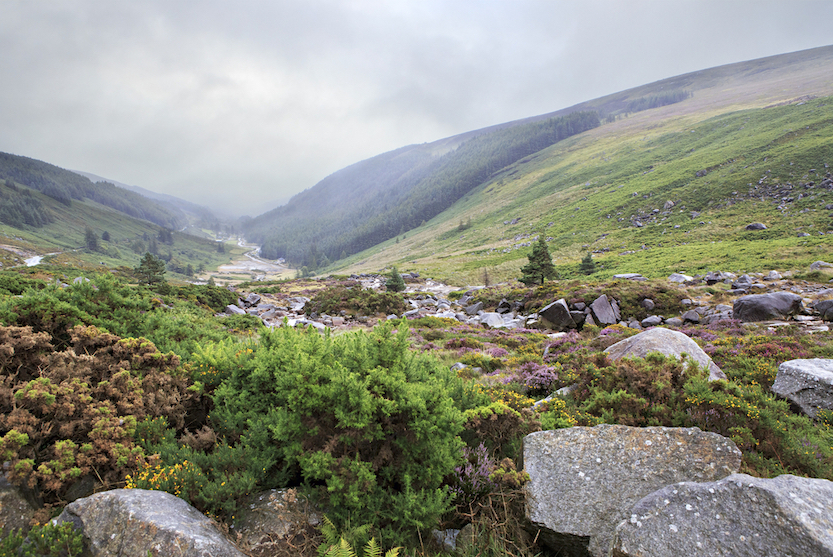 The Wandering Quinn Travel Blog Day trips from Galway, Glacial valley Glendalough in Wicklow Mountains National Park