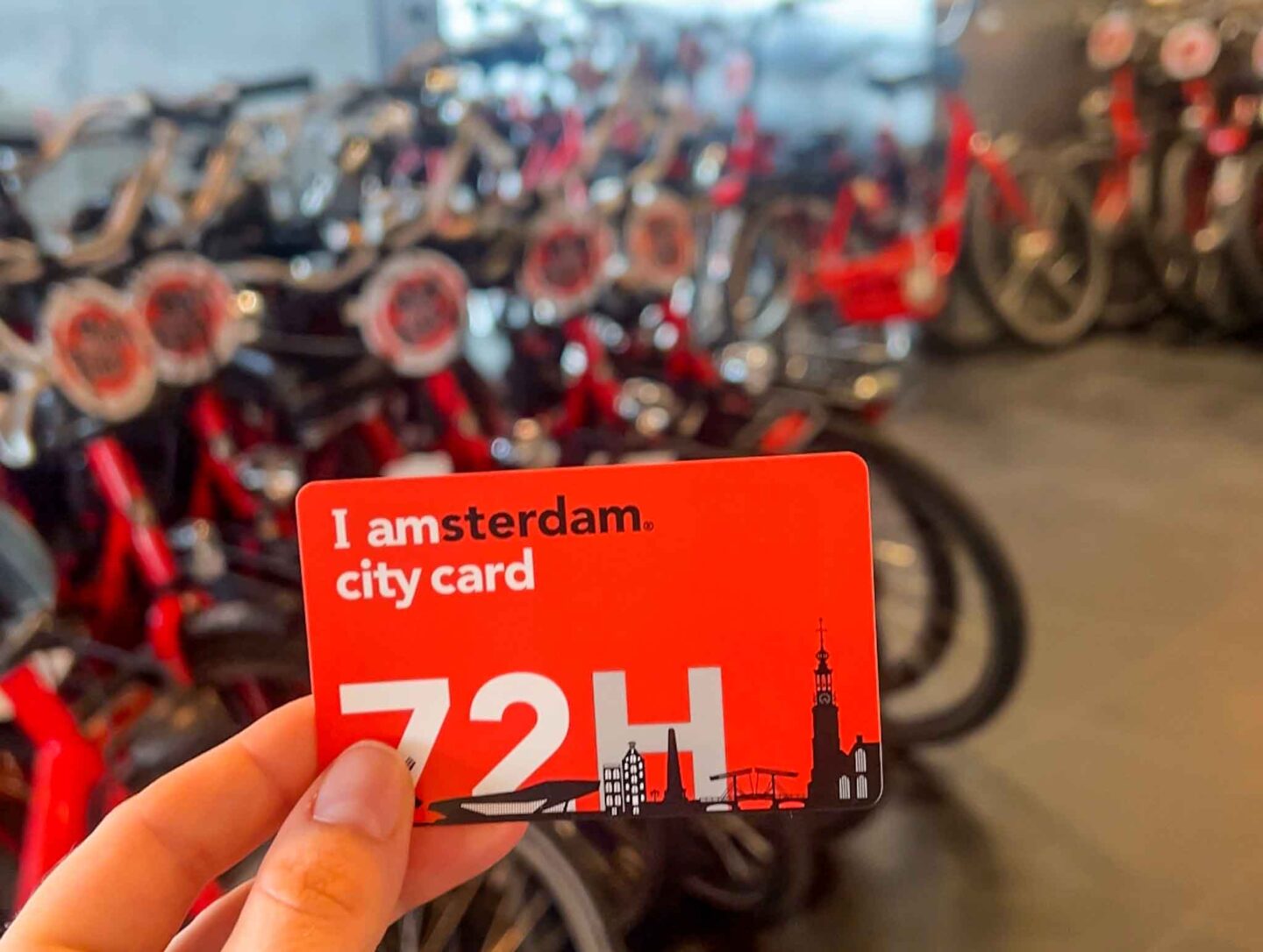 Things to do in Amsterdam Noord, I Amsterdam City Card by bike hire